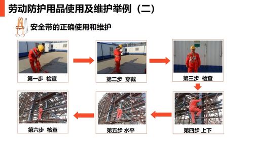 pptx 現場勞動防護用品的使用和管理 43頁 